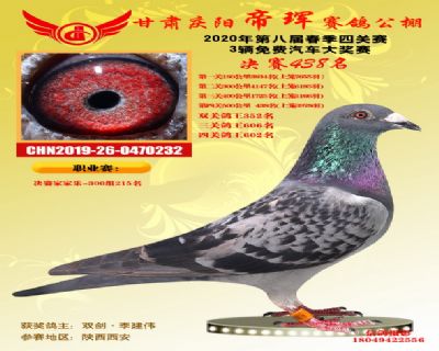 甘肃帝珲决赛438名
