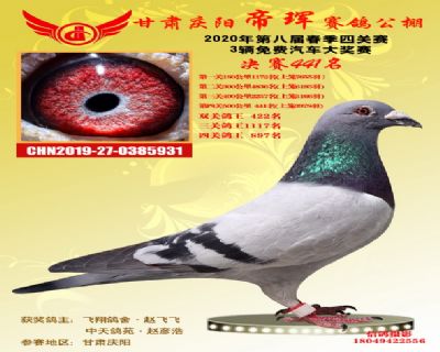 甘肃帝珲决赛441名