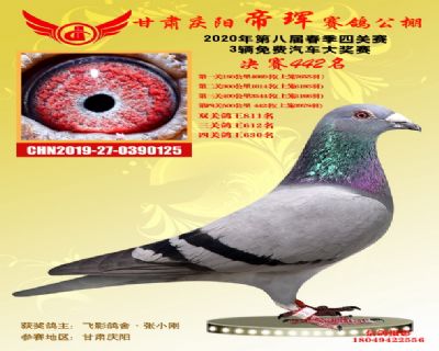 甘肃帝珲决赛442名