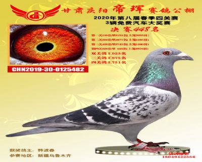 甘肃帝珲决赛448名