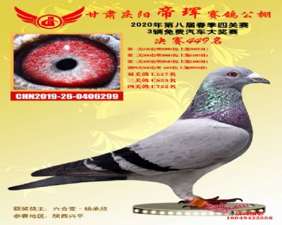 甘肃帝珲决赛449名