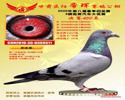 甘肃帝珲决赛450名