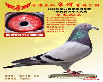 甘肃帝珲决赛456名