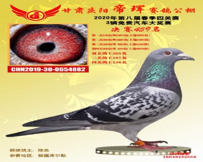 甘肃帝珲决赛459名