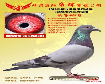 甘肃帝珲决赛461名