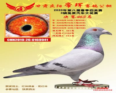 甘肃帝珲决赛463名