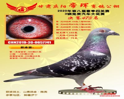 甘肃帝珲决赛473名