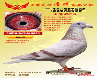 甘肃帝珲决赛482名