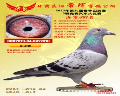 甘肃帝珲决赛481名