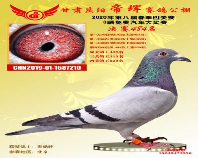 甘肃帝珲决赛484名