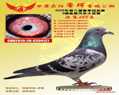 甘肃帝珲决赛488名