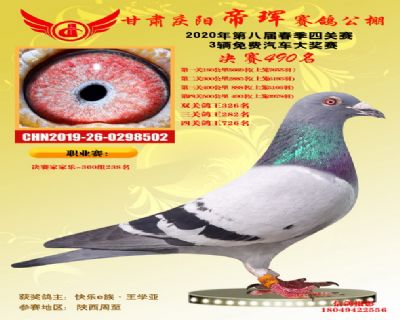 甘肃帝珲决赛490名
