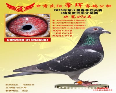 甘肃帝珲决赛494名