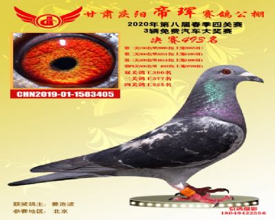 甘肃帝珲决赛493名