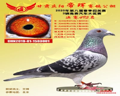 甘肃帝珲决赛495名