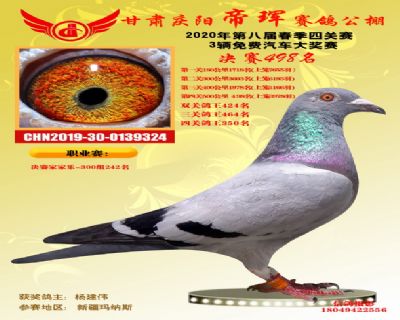 甘肃帝珲决赛498名