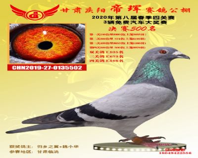 甘肃帝珲决赛500名