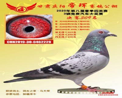 甘肃帝珲决赛309名
