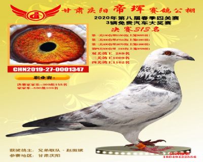 甘肃帝珲决赛313名