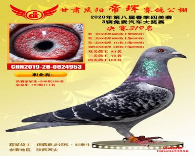 甘肃帝珲决赛319名
