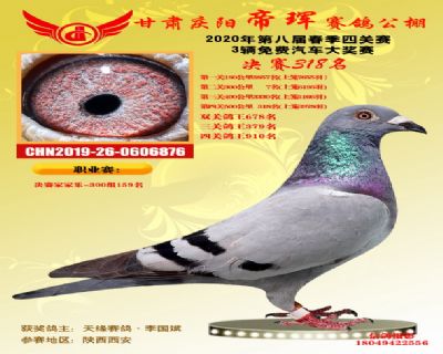 甘肃帝珲决赛318名