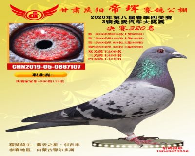 甘肃帝珲决赛320名