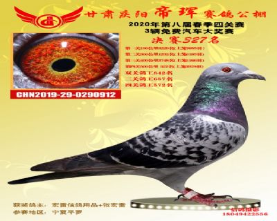 甘肃帝珲决赛327名