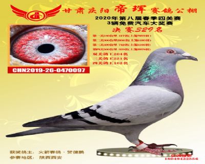 甘肃帝珲决赛329名