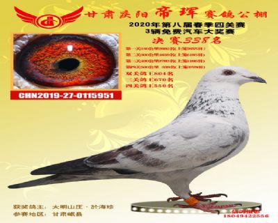 甘肃帝珲决赛338名
