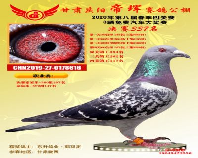 甘肃帝珲决赛337名