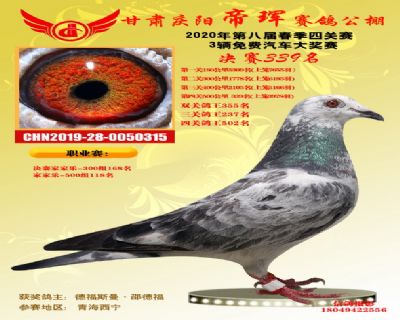 甘肃帝珲决赛339名