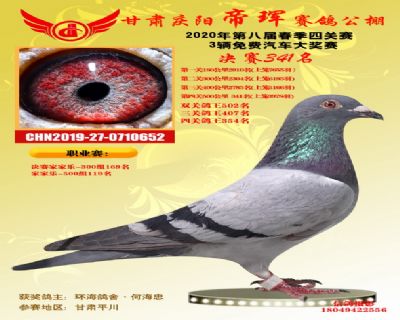 甘肃帝珲决赛341名