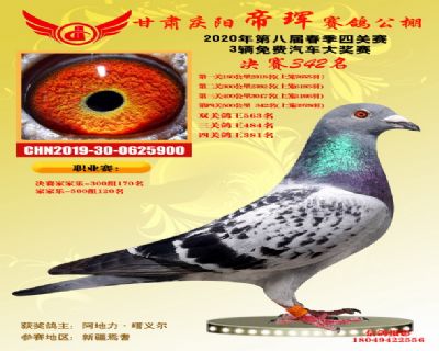 甘肃帝珲决赛342名