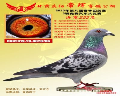 甘肃帝珲决赛355名