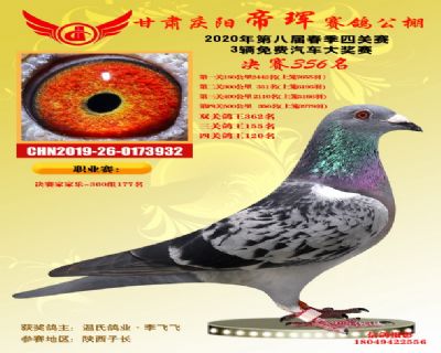 甘肃帝珲决赛356名