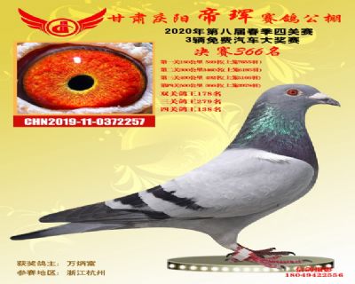 甘肃帝珲决赛366名