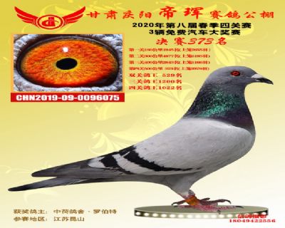 甘肃帝珲决赛373名
