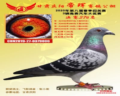 甘肃帝珲决赛376名