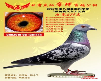 甘肃帝珲决赛379名