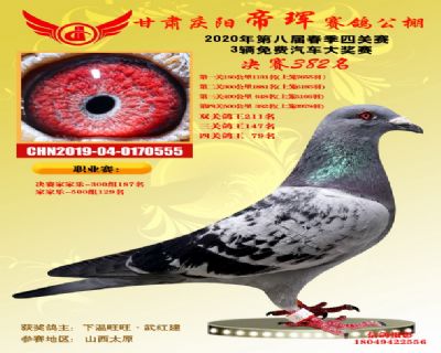 甘肃帝珲决赛382名
