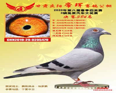 甘肃帝珲决赛384名