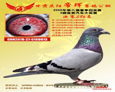 甘肃帝珲决赛386名