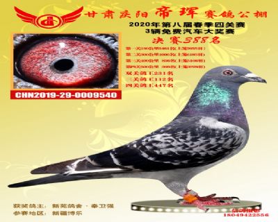 甘肃帝珲决赛388名