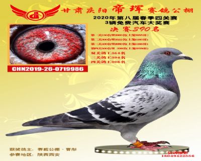 甘肃帝珲决赛390名