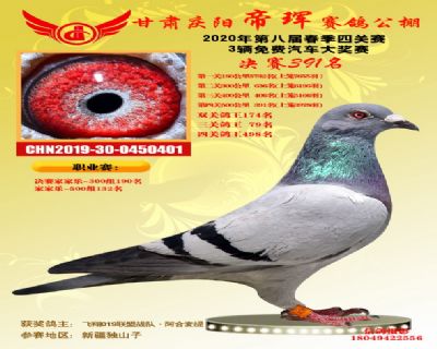 甘肃帝珲决赛391名