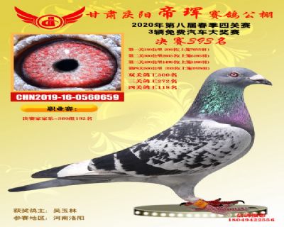 甘肃帝珲决赛393名