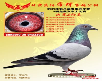 甘肃帝珲决赛396名