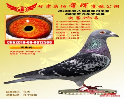 甘肃帝珲决赛395名