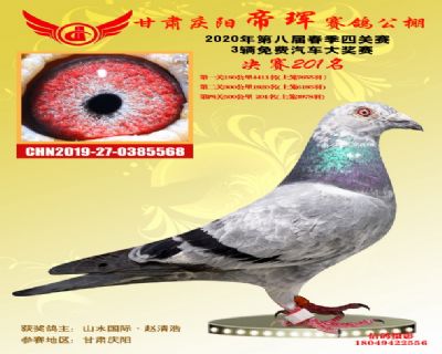 甘肃帝珲决赛201名