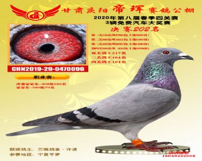 甘肃帝珲决赛202名